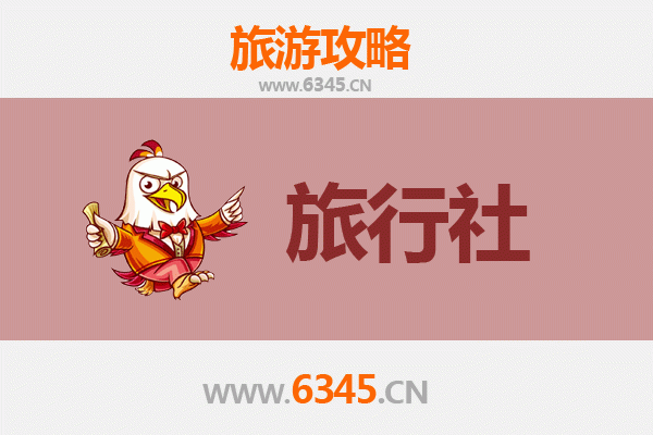 临高国营红华农场深度游：本地旅行社全攻略与特色体验推荐